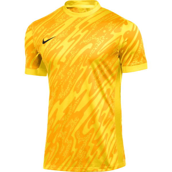 Dres Nike M NK DF GARDIEN V GK JSY SS - 196976299620