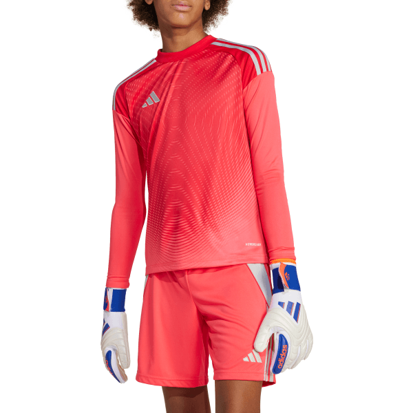 Dres s dlhým rukávom adidas Tiro25 Competition GK JSY LY - 4067901144130