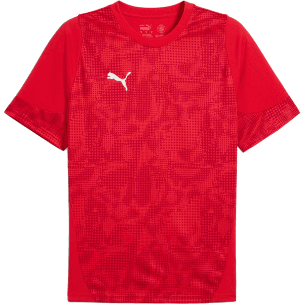 Dres Puma  teamCUP Training Jersey - 4067983946721