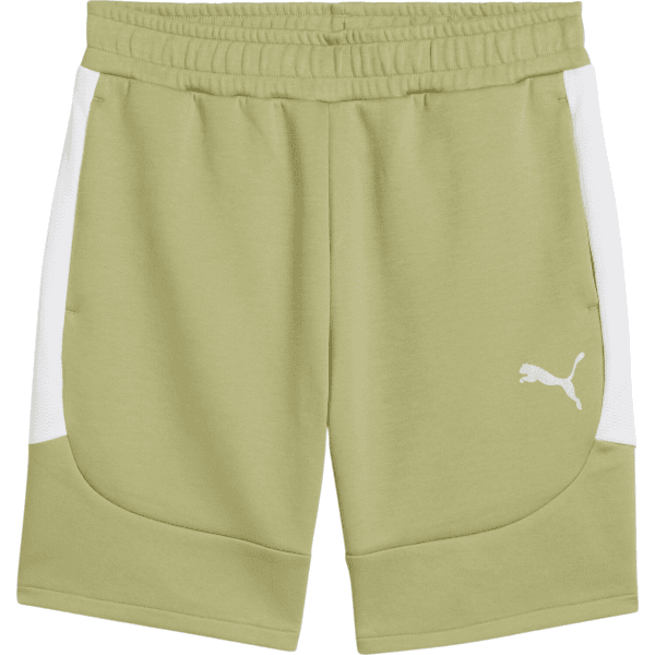 Šortky Puma  teamEvostripe Short - 4067984095312