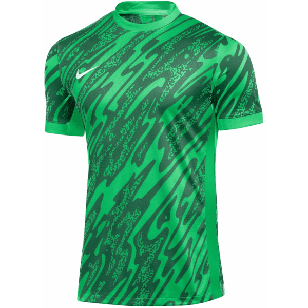Dres Nike M NK DF GARDIEN V GK JSY SS - 196976318628