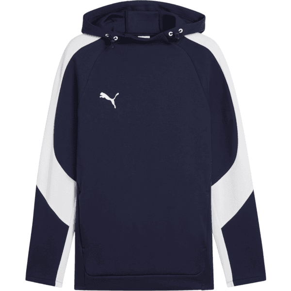 Mikina s kapucňou Puma  TeamEvostripe Hoody - 4067984096920