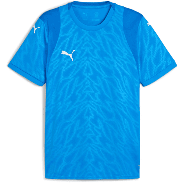 Dres Puma  teamCUP Jersey - 4067984185990
