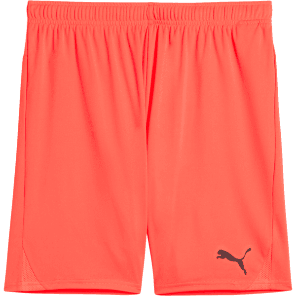 Šortky Puma teamGOAL Shorts - 4067984201010