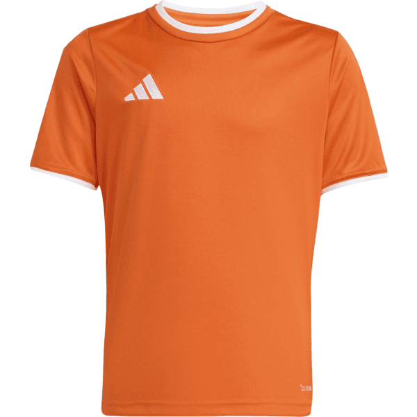 Dres adidas  Entrada 26 Kids - 4068804989682