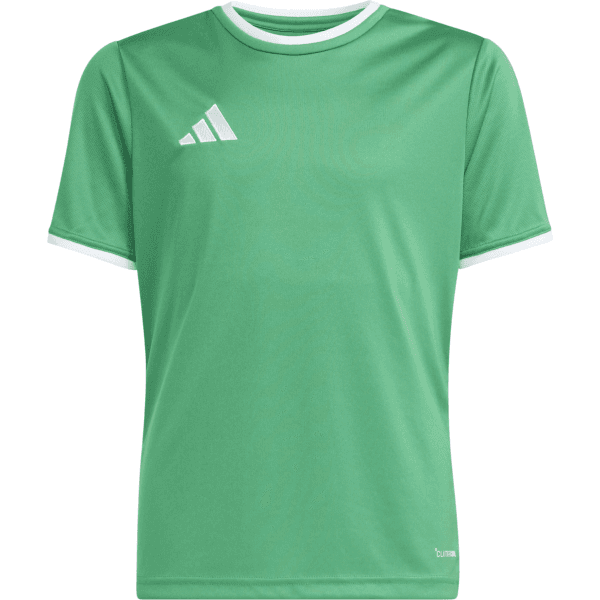 Dres adidas  Entrada 26 Kids - 4068812596810