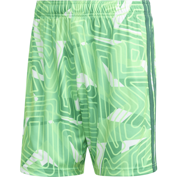 Šortky adidas  Tiro 26 Competition Goalkeeper - 4068815963787