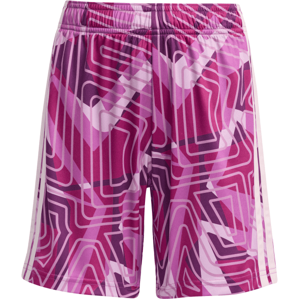 Šortky adidas  Tiro 26 Competition Goalkeeper Kids - 4068816300147