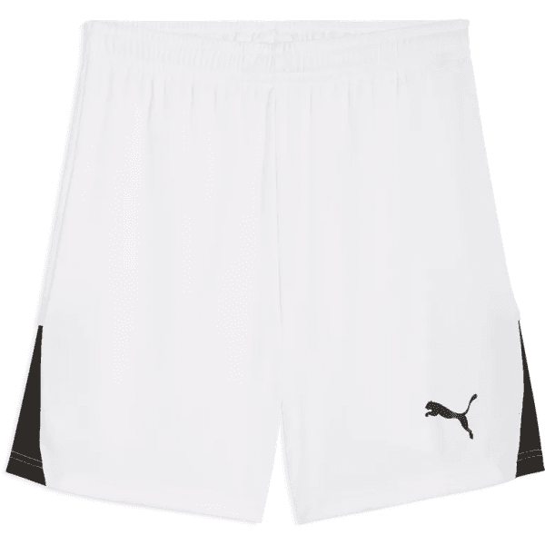 Šortky Puma teamLIGA26 Shorts - 4069162346070