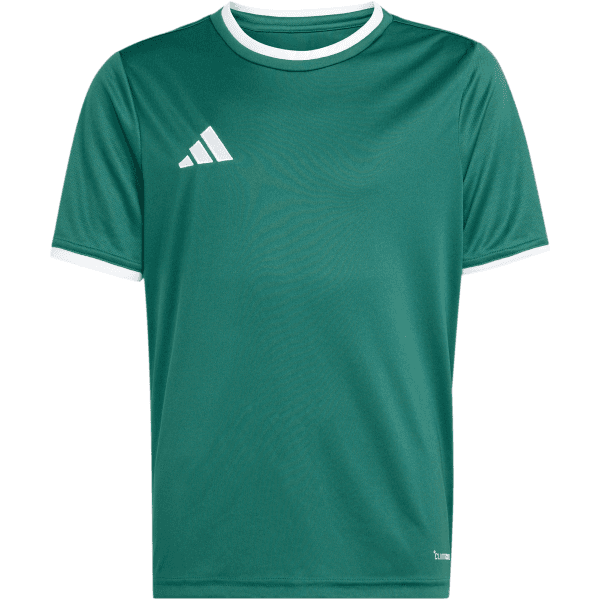 Dres adidas  Entrada 26 Kids - 4068812558429