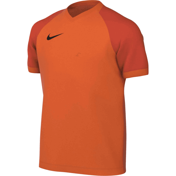 Dres Nike  Dri-FIT Trophy VI Kids - 198488441566