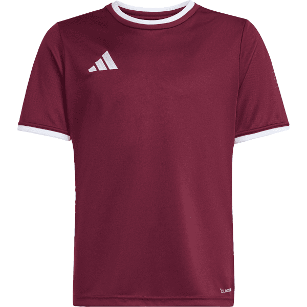 Dres adidas  Entrada 26 Kids - 4068804852252