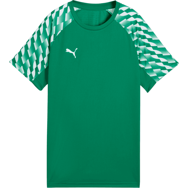 Dres Puma teamLIGA26 Kids - 4069162281319