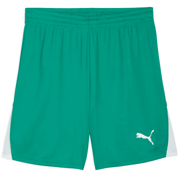 Šortky Puma teamLIGA26 - 4069162346179