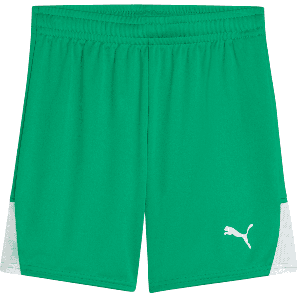 Šortky Puma  teamLIGA26 Kids - 4069162365736
