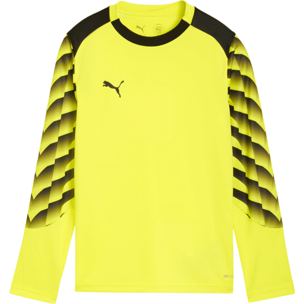 Dres s dlhým rukávom Puma teamLIGA26 Goalkeeper Long Sleeve Kids - 4069162801715