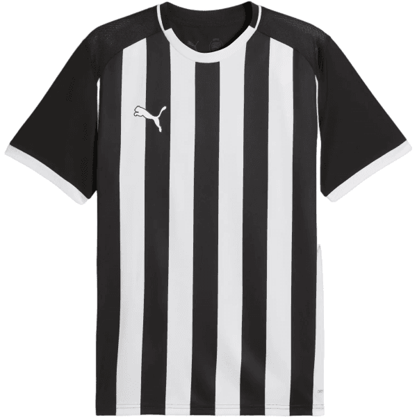 Pánsky dres s krátkym rukávom Puma teamLIGA26 Striped - 4069162746153