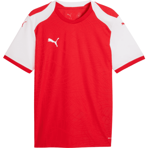 Dres Puma  teamFINAL26 Knit - 4069162246400