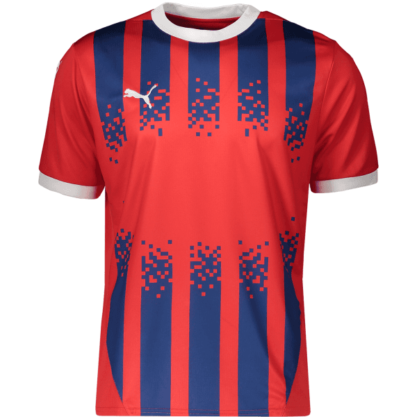 Dres Puma team 2024/25 - 4067982269555