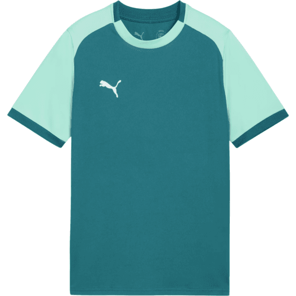 Dres Puma teamLIGA26 Matchday Kids - 4069162783677