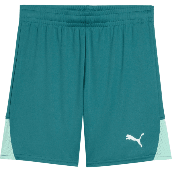 Šortky Puma  teamLIGA26 Kids - 4069162366030