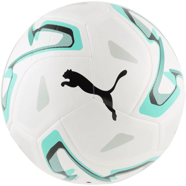 Lopta Puma Stellar Cup Lite 290 - 4070033631263