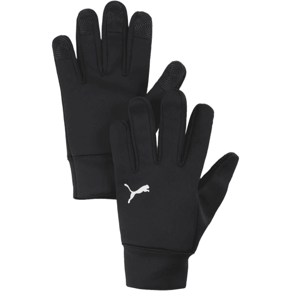 Rukavice Puma teamADDITIONS Winter - 4069162705693