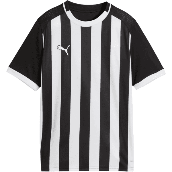 Detský dres s krátkym rukávom Puma teamLIGA26 Striped - 4069162746467