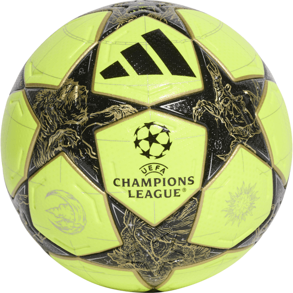 Lopta adidas  UCL Pro Winter Match Ball 2025/26 - 4068811951597