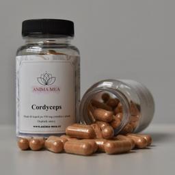 Cordyceps 60 cps - A0103