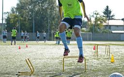 Tréningová agility prekážky 30 cm - 100084