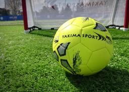 FUTBALOVÁ LOPTA VEĽKOSTI 4 - 15ks - 100520/15