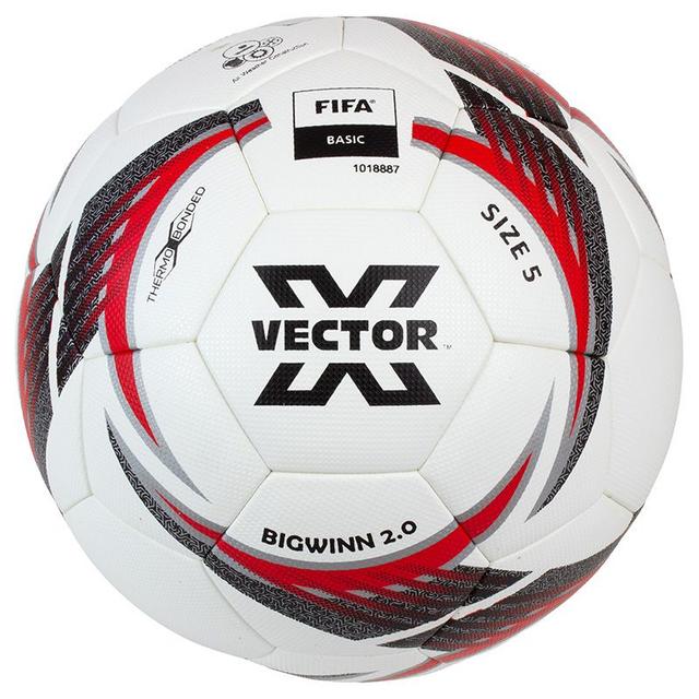 Futbalová lopta Vector Bigwinn - Bigwinn