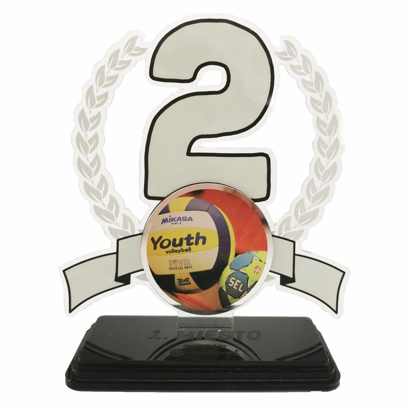 Akrylátová trofej - UNIVERZÁLNA STRIEBORNÁ - AKRYLSM