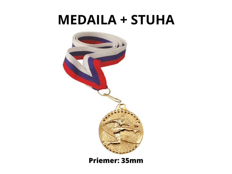Medaila + stuha VI. - IL105 Z